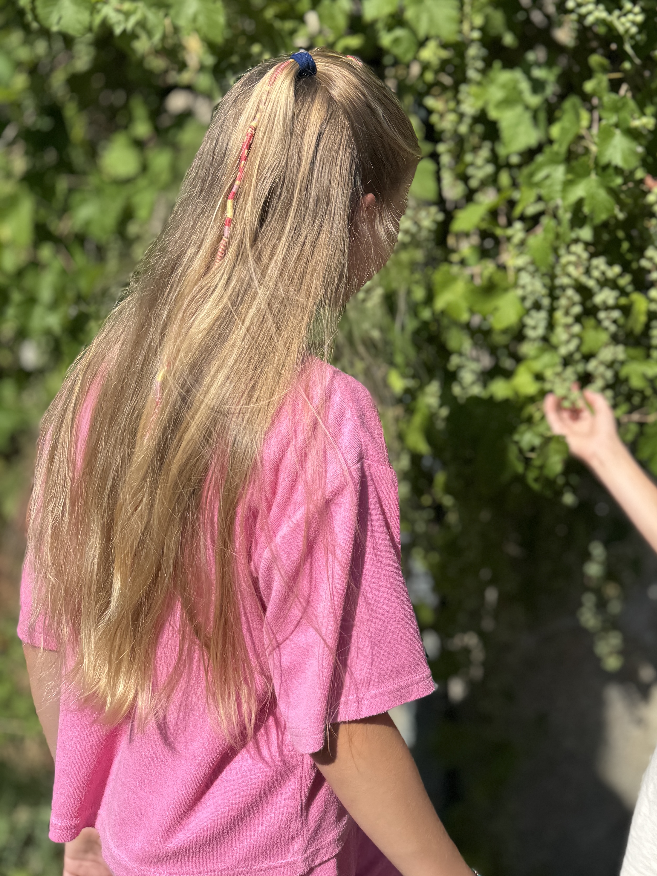 Haardonatie Isabel